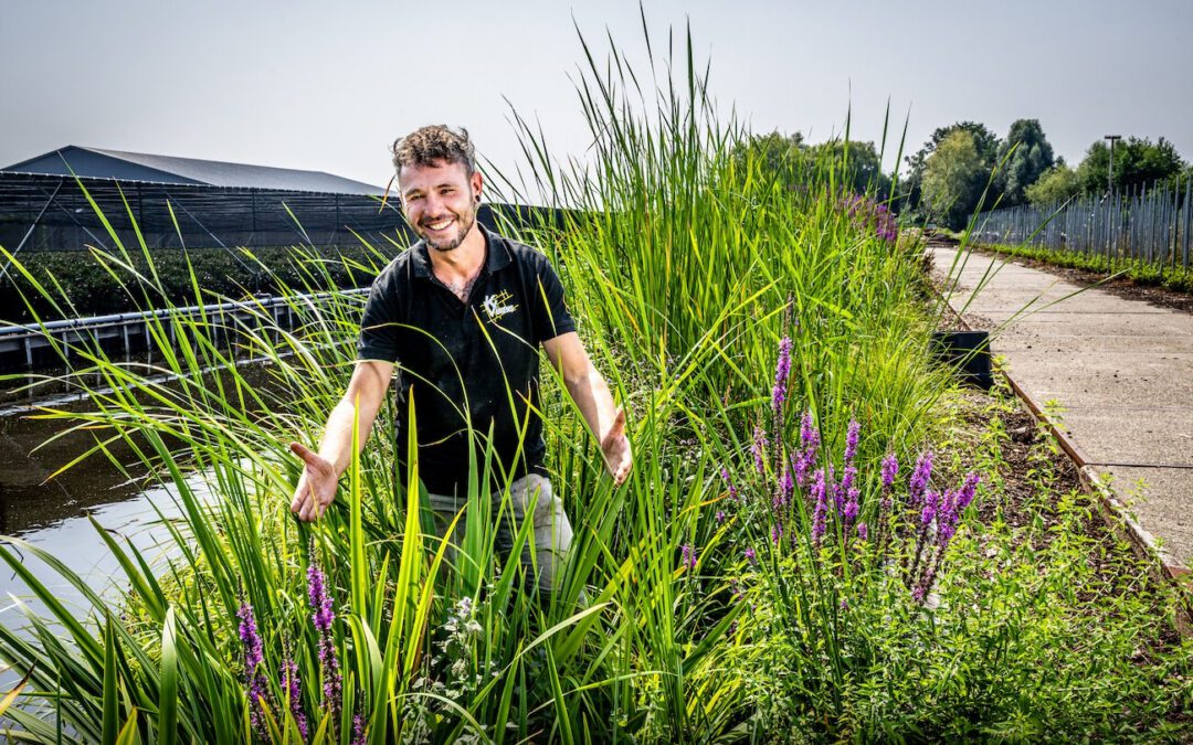 Leven terug in kwekerssloot